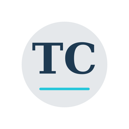 Tylor Chimney Repair logo